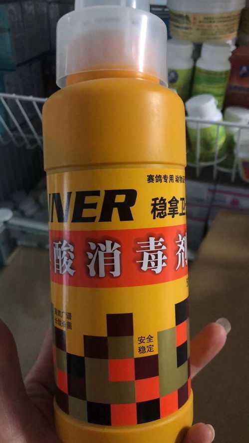 鴿用穩(wěn)拿消毒劑 守護(hù)賽鴿健康的隱形衛(wèi)士